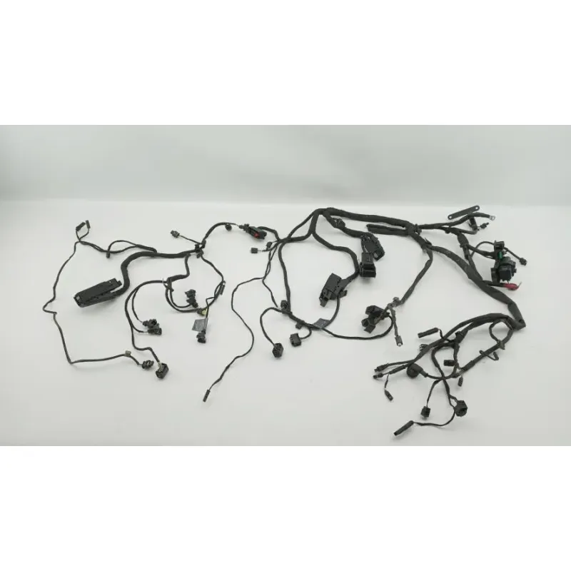 Faisceau electrique BMW F 800 R 2017 - 2019