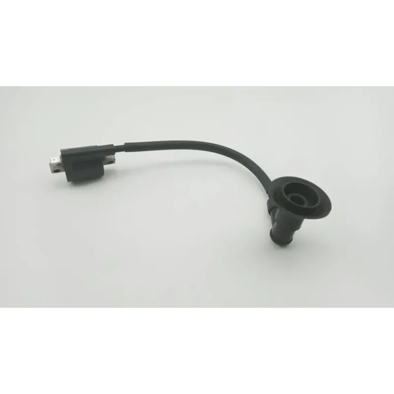 Bobine allumage YAMAHA CW 50 BWS 2013 - 2018