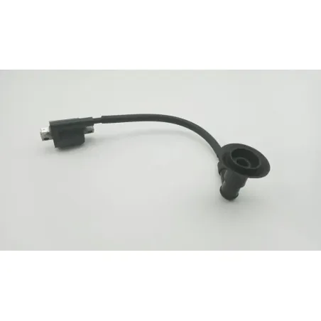 Bobine allumage YAMAHA CW 50 BWS 2013 - 2018