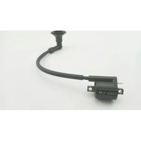 Bobine allumage YAMAHA CW 50 BWS 2013 - 2018
