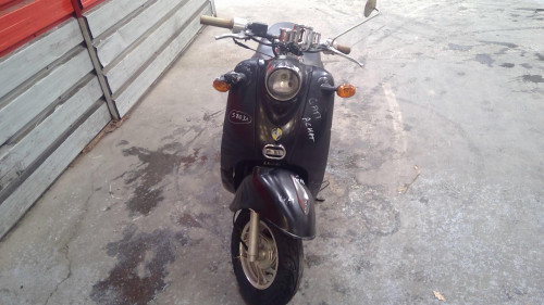 ZNEN 50