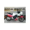 KAWASAKI KR 250