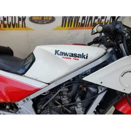 KAWASAKI KR 250