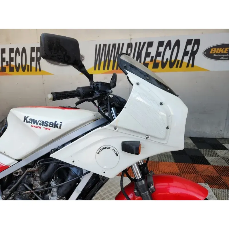 KAWASAKI KR 250