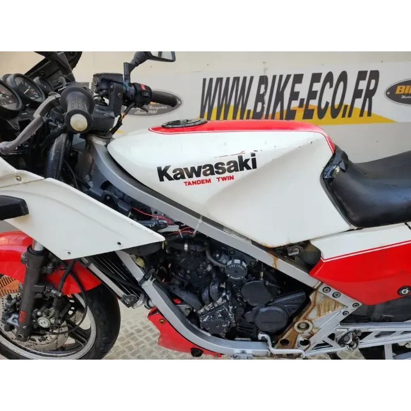 KAWASAKI KR 250
