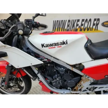 KAWASAKI KR 250