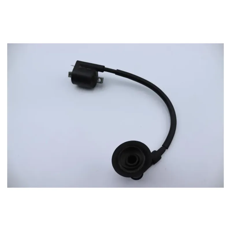 Bobine allumage YAMAHA CW 50 BWS 2004 - 2012