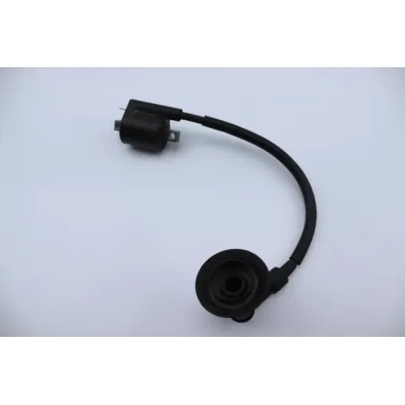 Bobine allumage YAMAHA CW 50 BWS 2004 - 2012