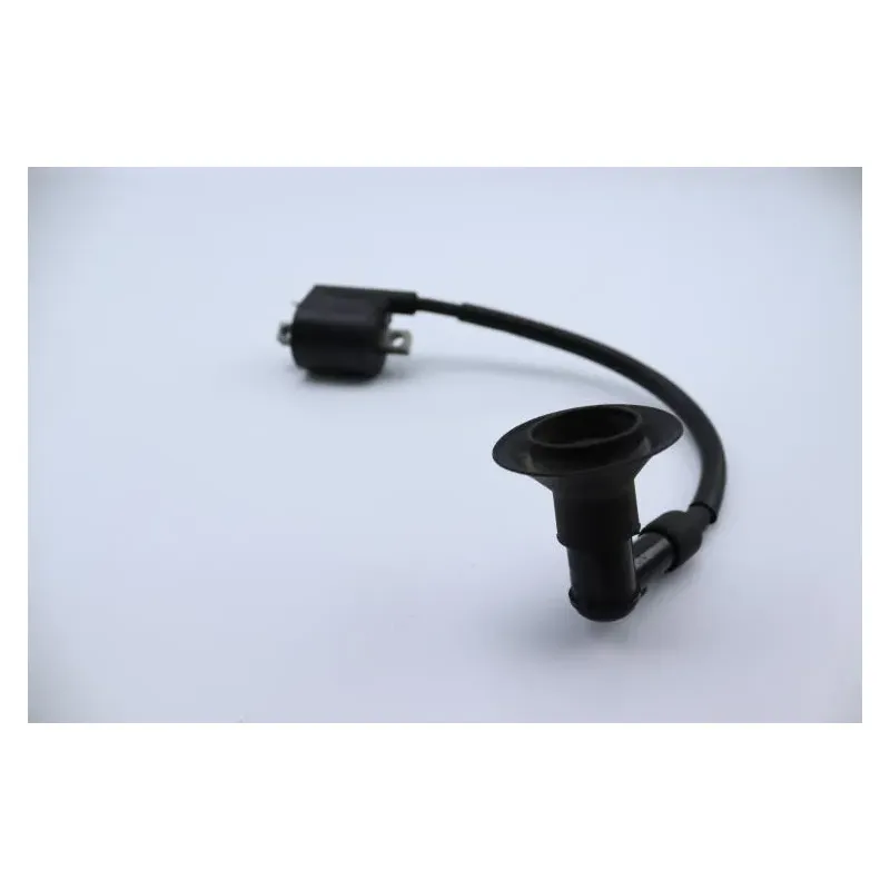 Bobine allumage YAMAHA CW 50 BWS 2004 - 2012