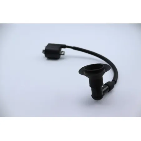 Bobine allumage YAMAHA CW 50 BWS 2004 - 2012