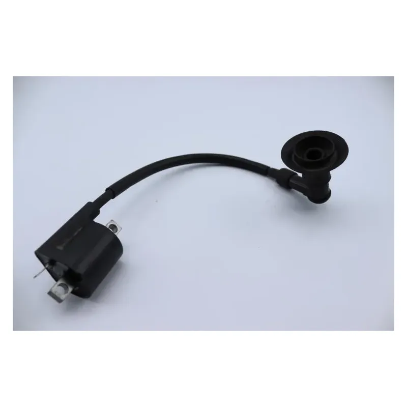 Bobine allumage YAMAHA CW 50 BWS 2004 - 2012