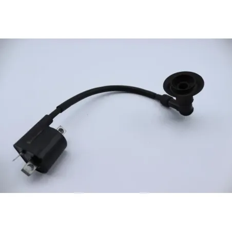 Bobine allumage YAMAHA CW 50 BWS 2004 - 2012