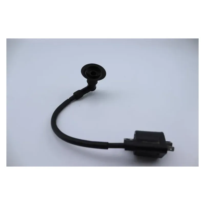 Bobine allumage YAMAHA CW 50 BWS 2004 - 2012