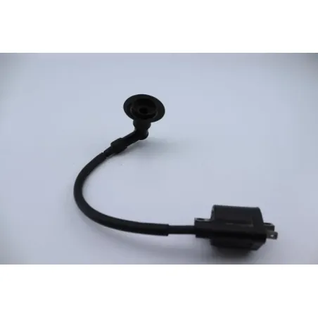 Bobine allumage YAMAHA CW 50 BWS 2004 - 2012