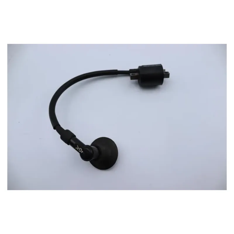 Bobine allumage YAMAHA CW 50 BWS 2004 - 2012