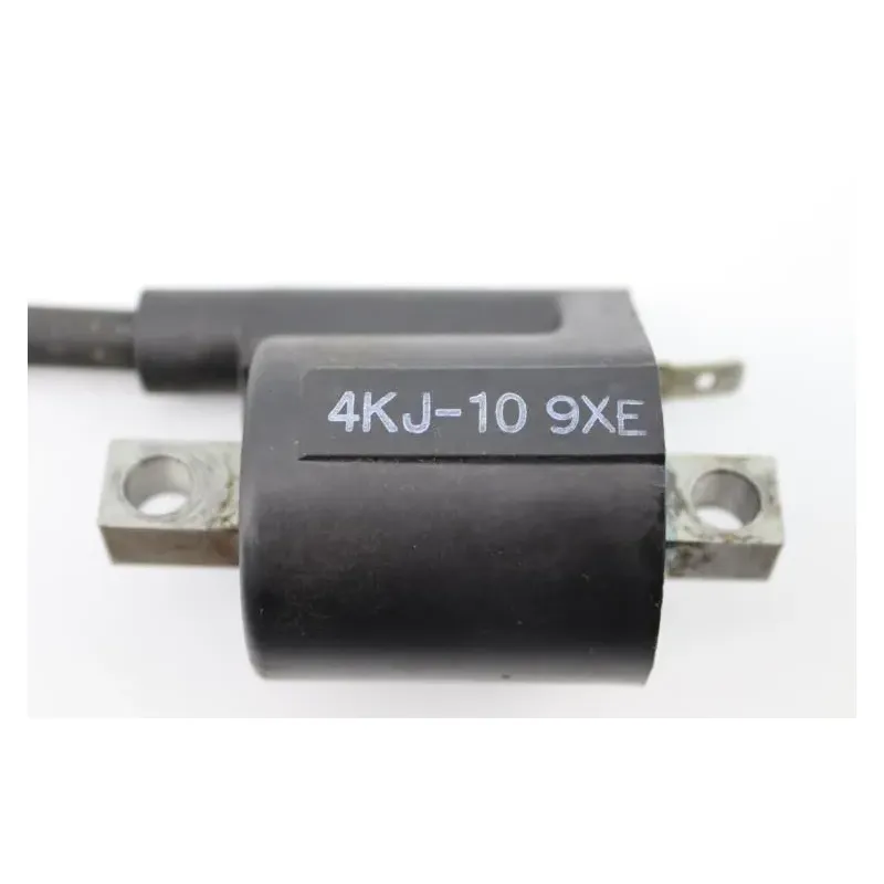 Bobine allumage YAMAHA CW 50 BWS 2004 - 2012