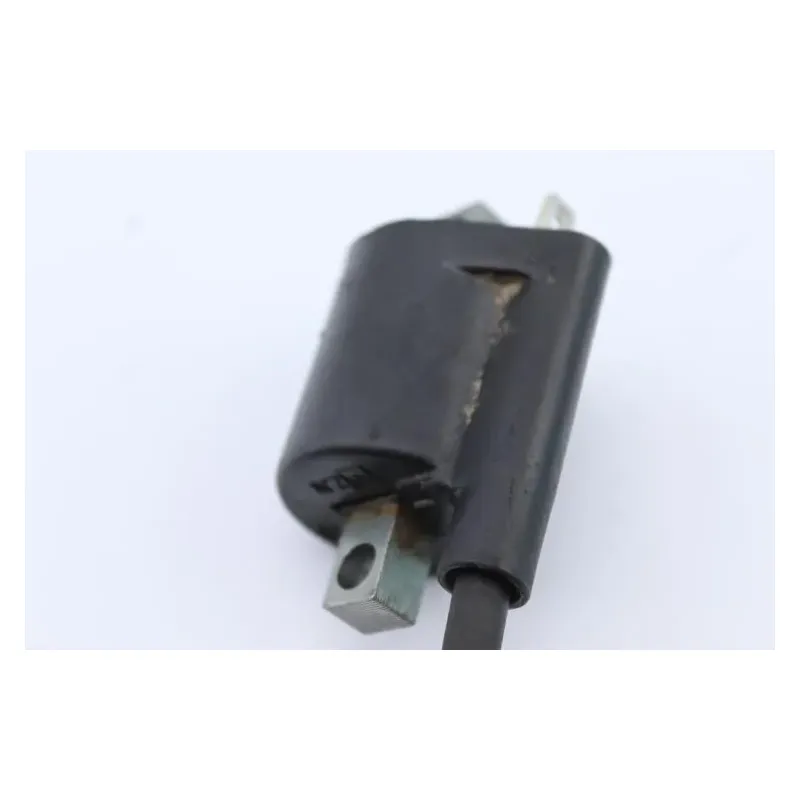 Bobine allumage YAMAHA CW 50 BWS 2004 - 2012