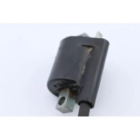 Bobine allumage YAMAHA CW 50 BWS 2004 - 2012