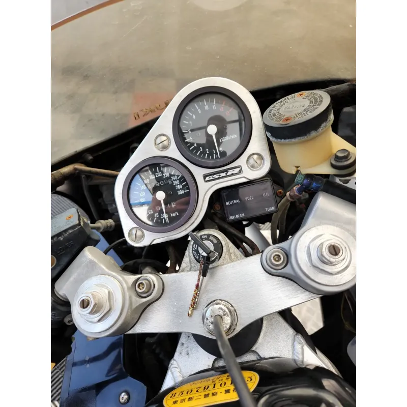 SUZUKI GSX-R 1100
