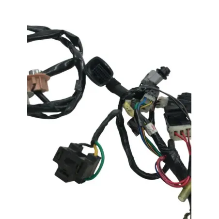 Faisceau electrique YAMAHA FJR 1300 2001-2002