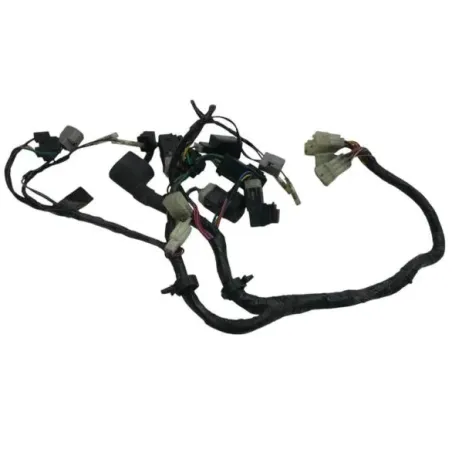 Faisceau electrique YAMAHA FJR 1300 2001-2002