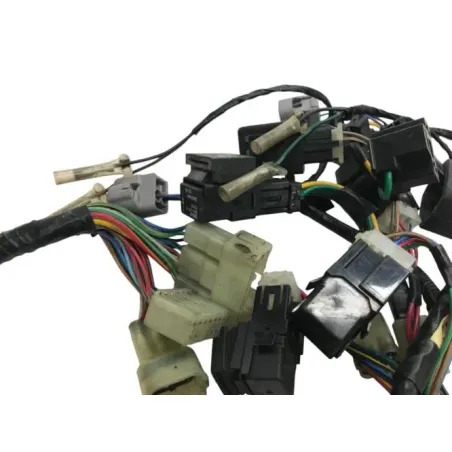 Faisceau electrique YAMAHA FJR 1300 2001-2002