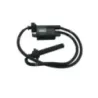 Bobine allumage YAMAHA FJR 1300 2006-2007 ABS