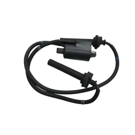 Bobine allumage YAMAHA FJR 1300 2006-2007 ABS