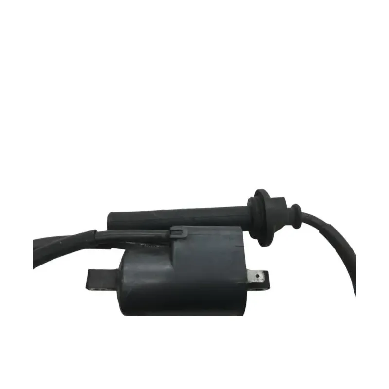 Bobine allumage YAMAHA FJR 1300 2006-2007 ABS