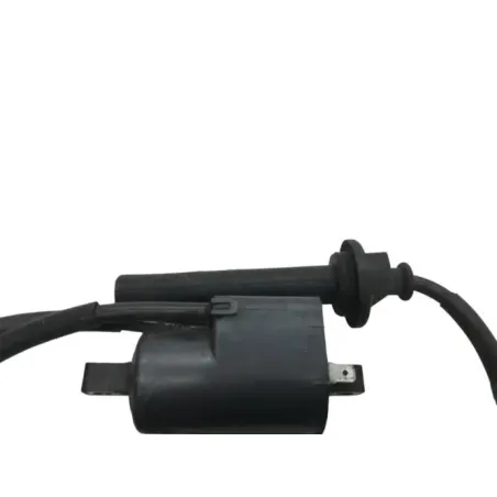 Bobine allumage YAMAHA FJR 1300 2006-2007 ABS