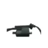 Bobine allumage YAMAHA FJR 1300 2006-2007 ABS
