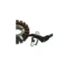 Stator alternateur PIAGGIO MP3 300 2020-2023 HPE E5 SPORT Stator alternateur PIAGGIO MP3 300 2020-2023 HPE E5 SPORT