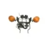 Support de compteur HONDA MT 125 1974 K0 ELSINORE