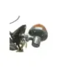 Support de compteur HONDA MT 125 1974 K0 ELSINORE
