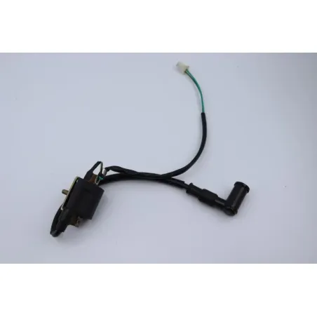 Bobine allumage TARANTULA DIRT BIKE 125 2021 - 2021