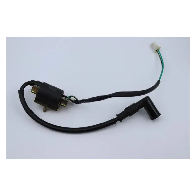 Bobine allumage TARANTULA DIRT BIKE 125 2021 - 2021