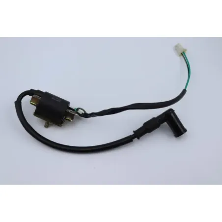 Bobine allumage TARANTULA DIRT BIKE 125 2021 - 2021