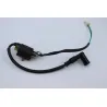 Bobine allumage TARANTULA DIRT BIKE 125 2021 - 2021