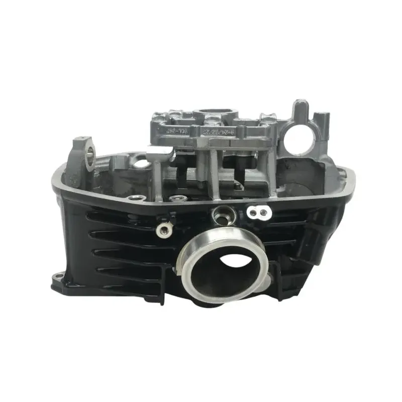 Culasse gauche BMW R 1250 GS 2018-2023