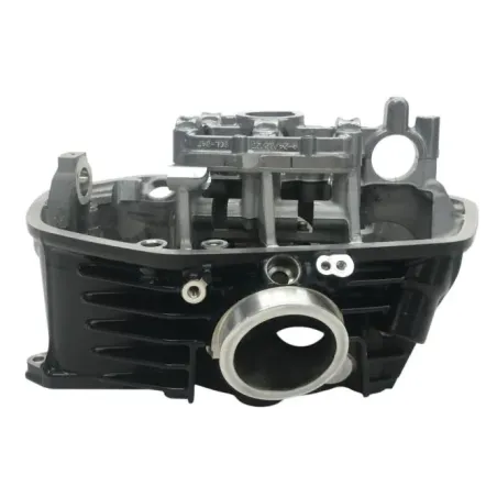 Culasse gauche BMW R 1250 GS 2018-2023