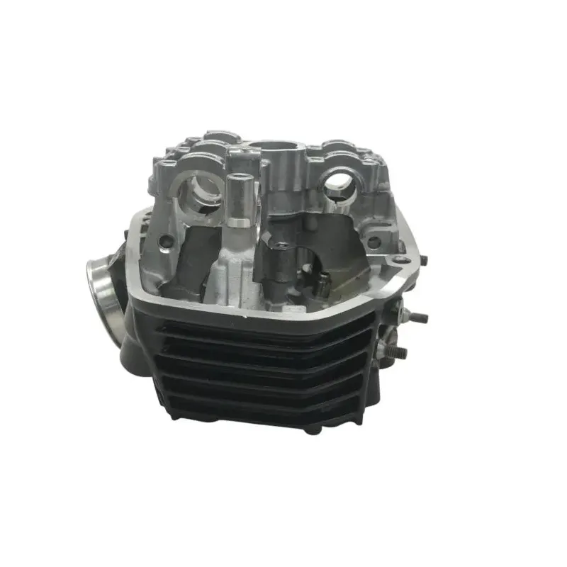 Culasse gauche BMW R 1250 GS 2018-2023
