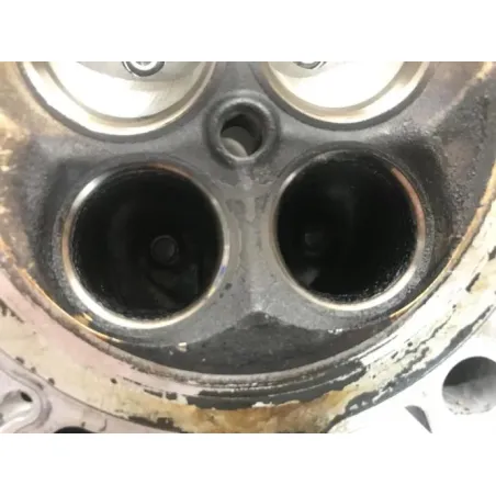 Culasse gauche BMW R 1250 GS 2018-2023