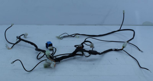 Faisceau electrique RIEJU 50 MRT TROPHY 2013 - 2017