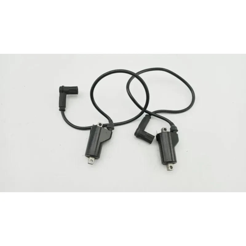 Bobine allumage DUCATI MONSTER 750 1996 - 2002