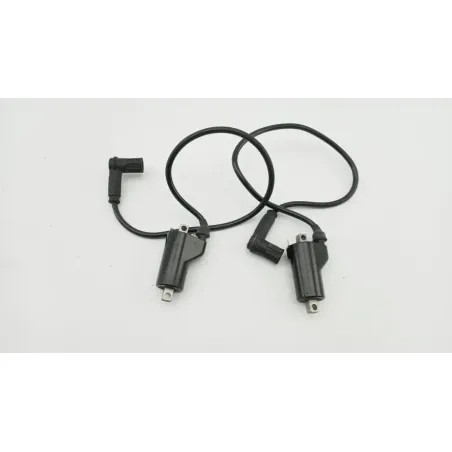 Bobine allumage DUCATI MONSTER 750 1996 - 2002