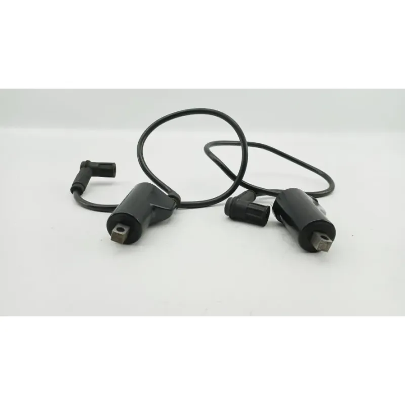 Bobine allumage DUCATI MONSTER 750 1996 - 2002