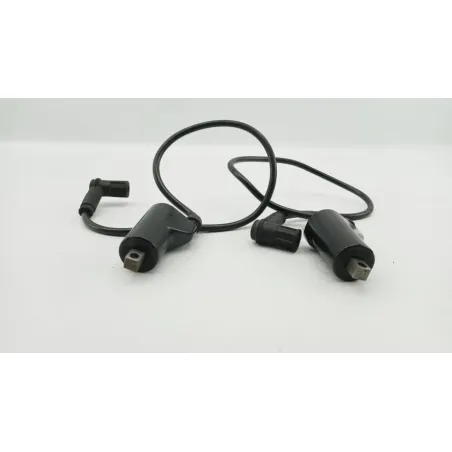 Bobine allumage DUCATI MONSTER 750 1996 - 2002