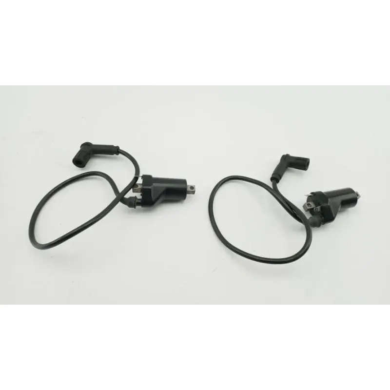 Bobine allumage DUCATI MONSTER 750 1996 - 2002