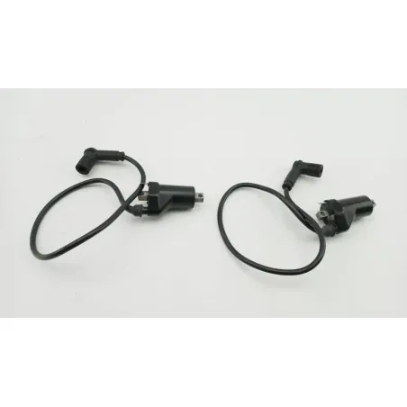 Bobine allumage DUCATI MONSTER 750 1996 - 2002