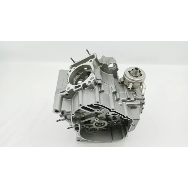 Carter moteur SUZUKI SFV 650 GLADIUS 2009 - 2015